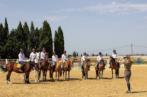 Photo n°22 de Écurie de la Serre à Saint-Thibéry (Écurie)