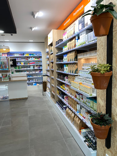 SELARL PHARMACIE SAINT WAAST