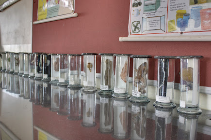 Af1qipou0zuxde1jnogbumcv 4cp Cg1hykinqbiudyv=s435 K No