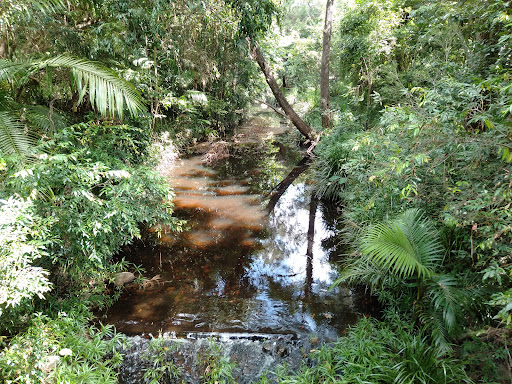 Walton Bridge Reserve Playground - Thumbnail