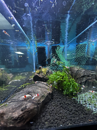 Aqua Nature Tropical Fish & Exotic Pets - Thumbnail