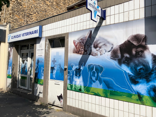 Clinique Vétérinaire du Docteur Bismuth