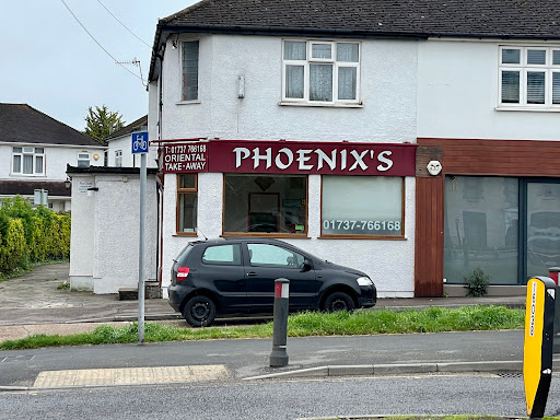 Phoenix's - Visual