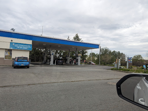 Chevron Point Roberts