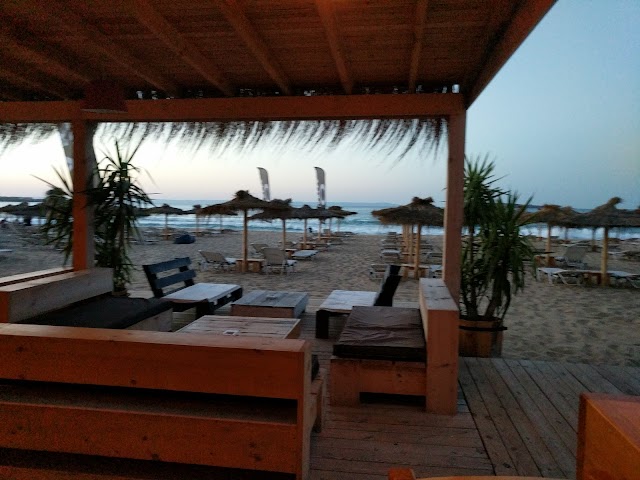Bash Bar Gradina