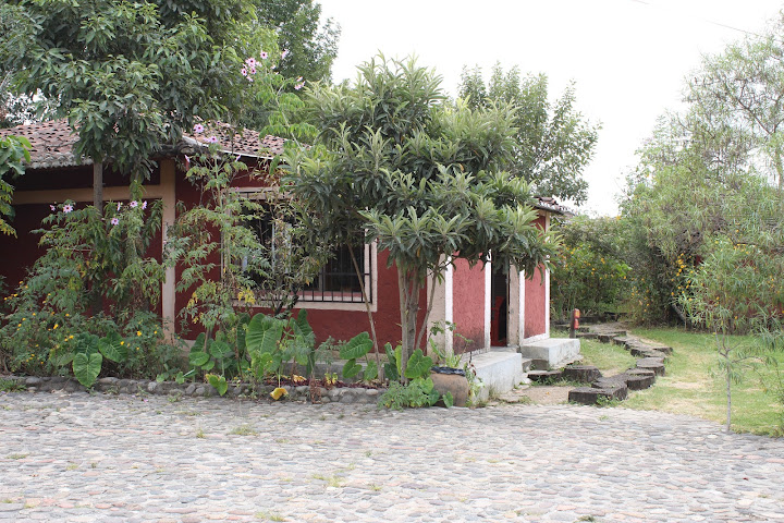 Museo de la Medicina Maya by null