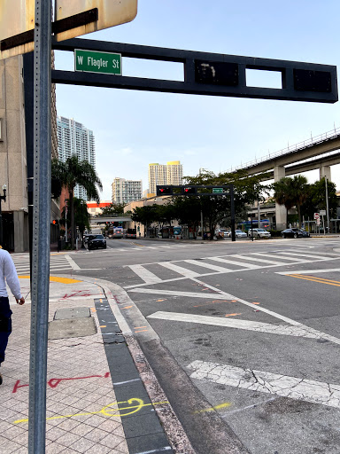 Miami Courthouse - Visual