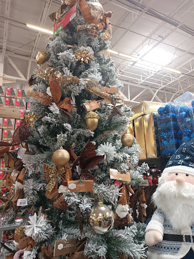 Walmart La Piedad - Thumbnail