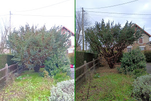Photo n°18 de Le Chapperon vert - Arboriste élagueur à Sevrai (Service d'élagage)