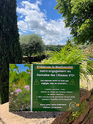 Photo n°14 de Domaine Des Coteaux D'or à Porte des Pierres Dorées (Prestataire de mariage)