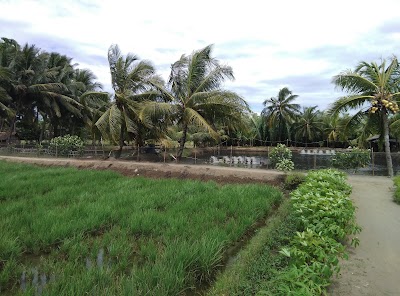 Photos of RM Seafood Sari Asih 1, Abah Karsu
