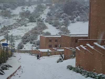 Photos of LES CYPR&Egrave;S