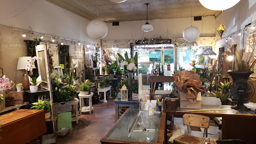 Talbott’s Flowers - Visual