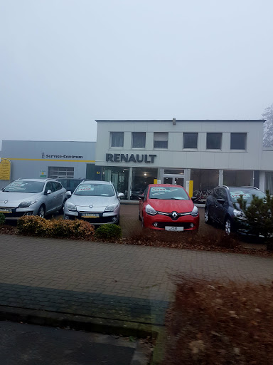 Udo Limke - Renault Service - Thumbnail
