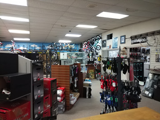 Webster Bicycle - Visual
