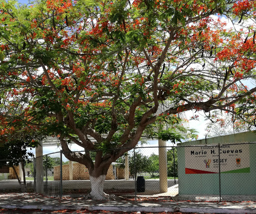 Mario H. Cuevas Elementary School