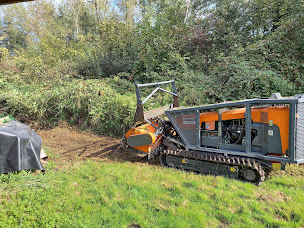 Photo n°5 de VERDEL multi services à Charavines (Paysagiste)