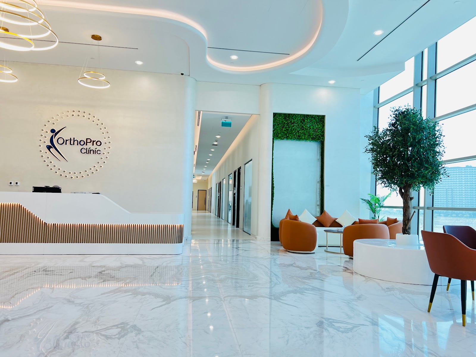 Dr Shine - صورة 3