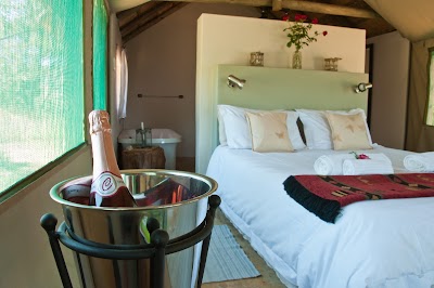 Photos of B'sorah Luxury Tented Camp