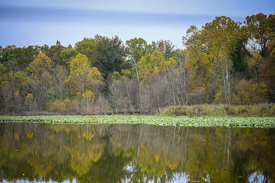 Knave Of Hearts Studios by null