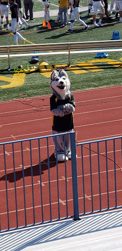 O'Laughlin Stadium - Visual