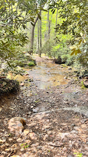 Pete's Branch Falls - Thumbnail