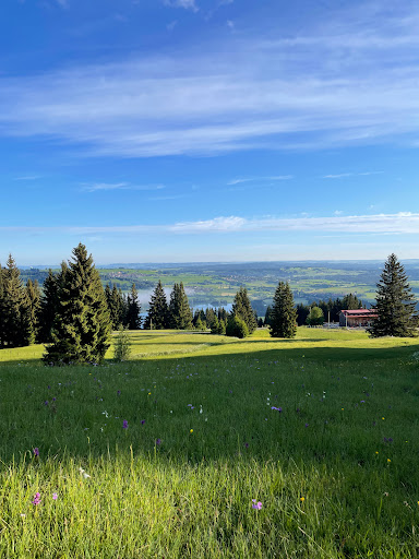Buronhütte - Visual