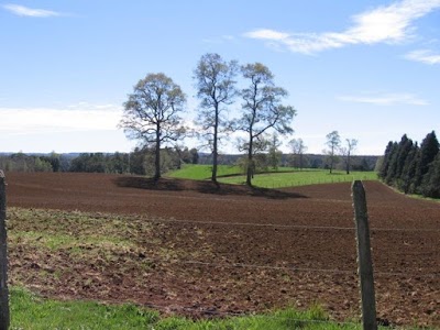 Photos of Tierras Altas Corredora de Propiedades Puerto Varas
