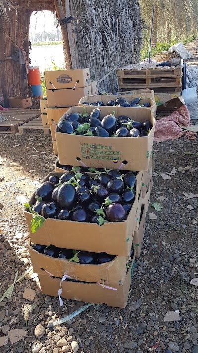 Honda (energy products) sale of machinery and spare parts