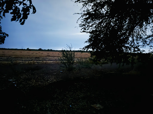 Manguito - Visual