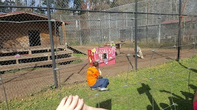 Photos of The Catty Shack Ranch Wildlife Sanctuary