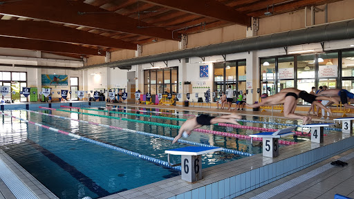 Swimming Altedo - Thumbnail
