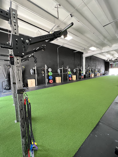 SEDULOUS Strength and Conditioning Gallery - United States