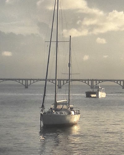 Photos of Samana Bay