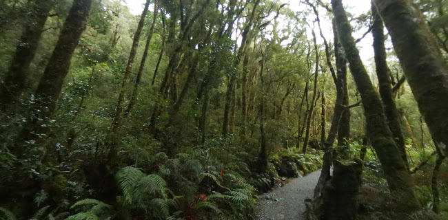 The Chasm car park - Invercargill