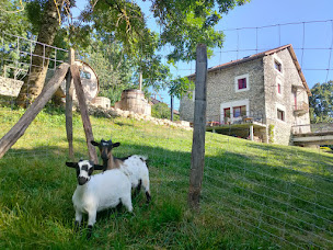 Photo n°51 de Maison d'Hôtes l'Etiquette à Seyssel (Chambre d'hôtes)