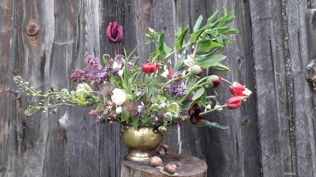 Opinii despre FLORAtORIUM květinová farma în Jihlava - Květinářství