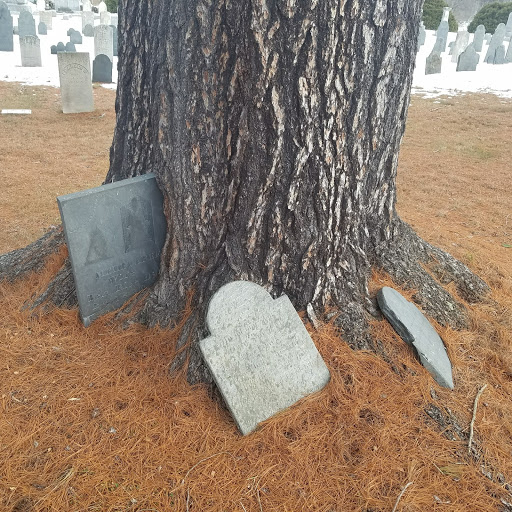 Saint Mary Cemetery - Thumbnail