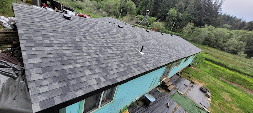 Roe's Roofing - Visual