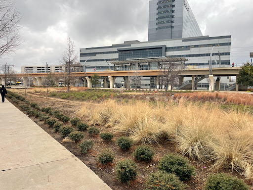 Southwest Medical District/Parkland - Thumbnail