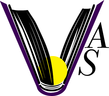 Virtuous Accounting Services - Visual