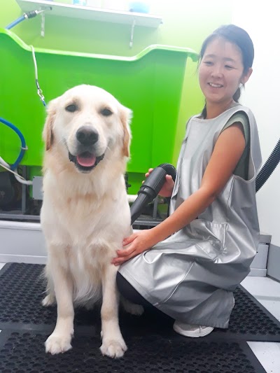 Photos of Puppy Playground Dog DayCare