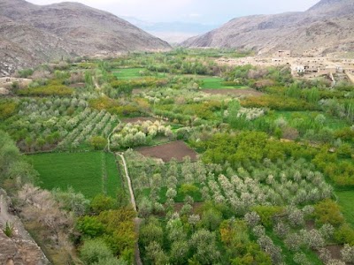 Chaki Wardak