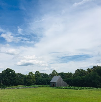 Mount Harmon Plantation