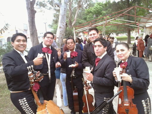 Mariachi Señorial Tampico