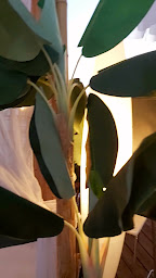 Photo n°2 de LE VICE VERSA à Saint-Paul (Bar à cocktails)