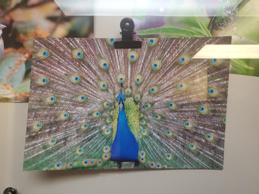 Northern Virginia Family Medicine - Thumbnail