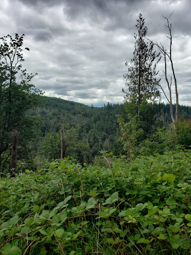 Franklin Coal Mine Trail - Thumbnail