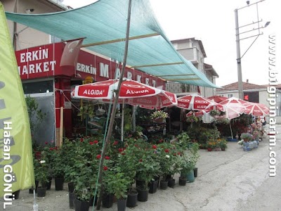 Erkin Market