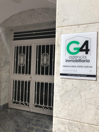 G4 INMOBILIARIA